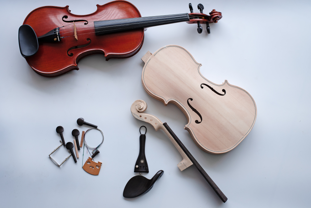 The Anatomy of the Violin: A Beginner-Friendly Guide - Lessons In Your Home