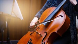 Cello Types Explained